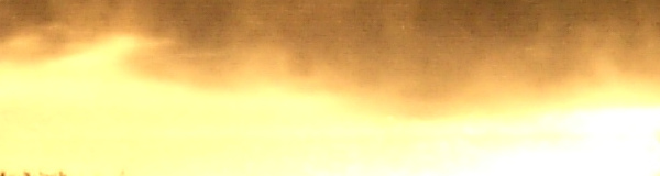 Aurum